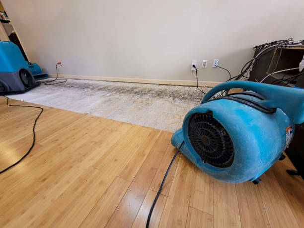Professional Water Damage Repair technician working in Bagdad, KY